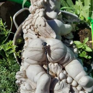 Meet your Posher, Dandy